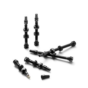TUBELESS valve kit
